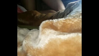 Esposa putona dando pro negro socar a pirocona grossa na bucetinha.xoxotinha